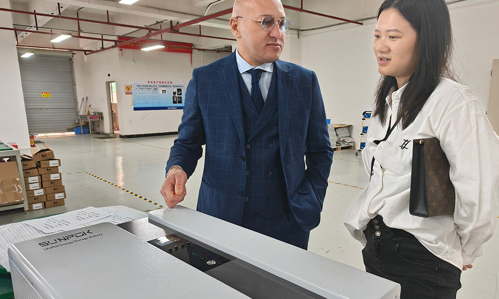 Ess Para uso doméstico Sistema de almacenamiento de energía solar con batería Micro inversor solar