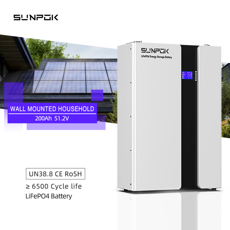 2025 8000 Ciclos 51.2V 200Ah 48V LiFePO4 Solar 10Kwh Batería de almacenamiento de energía para el hogar Baterías de litio